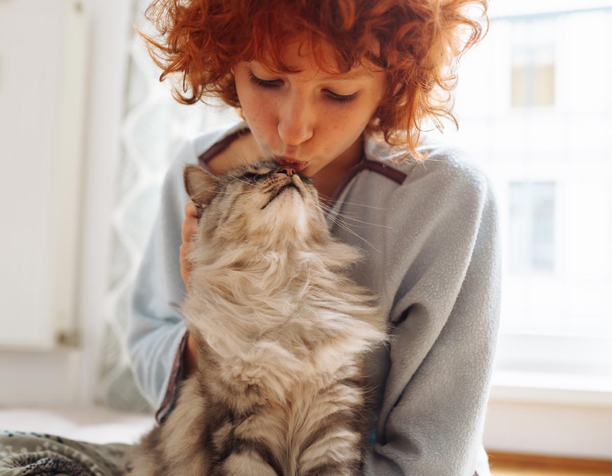 Cat Owner Kissing Cats Nose