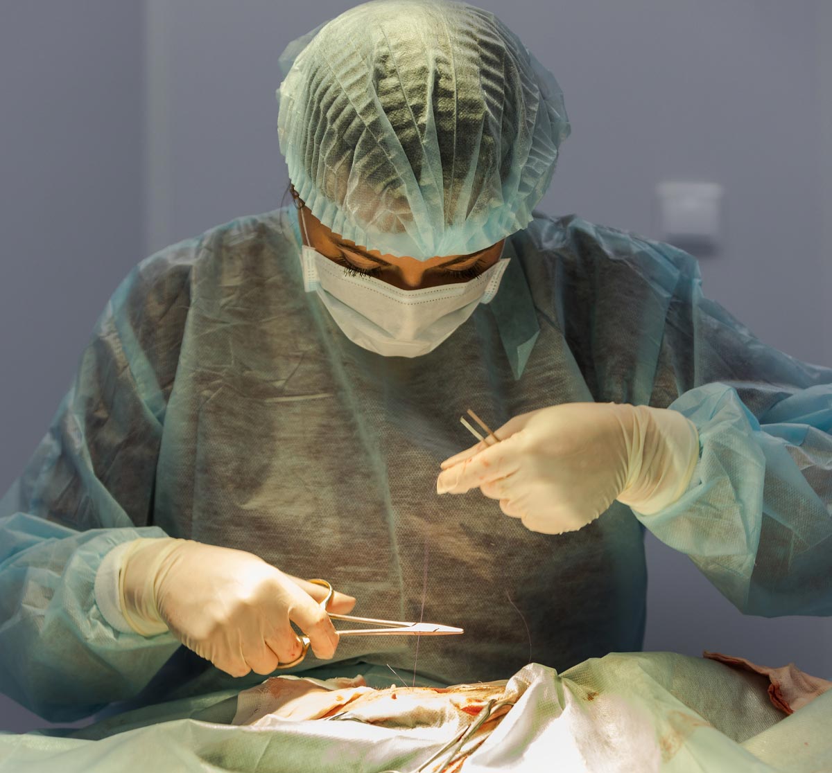 Veterinarian Performing Surgery