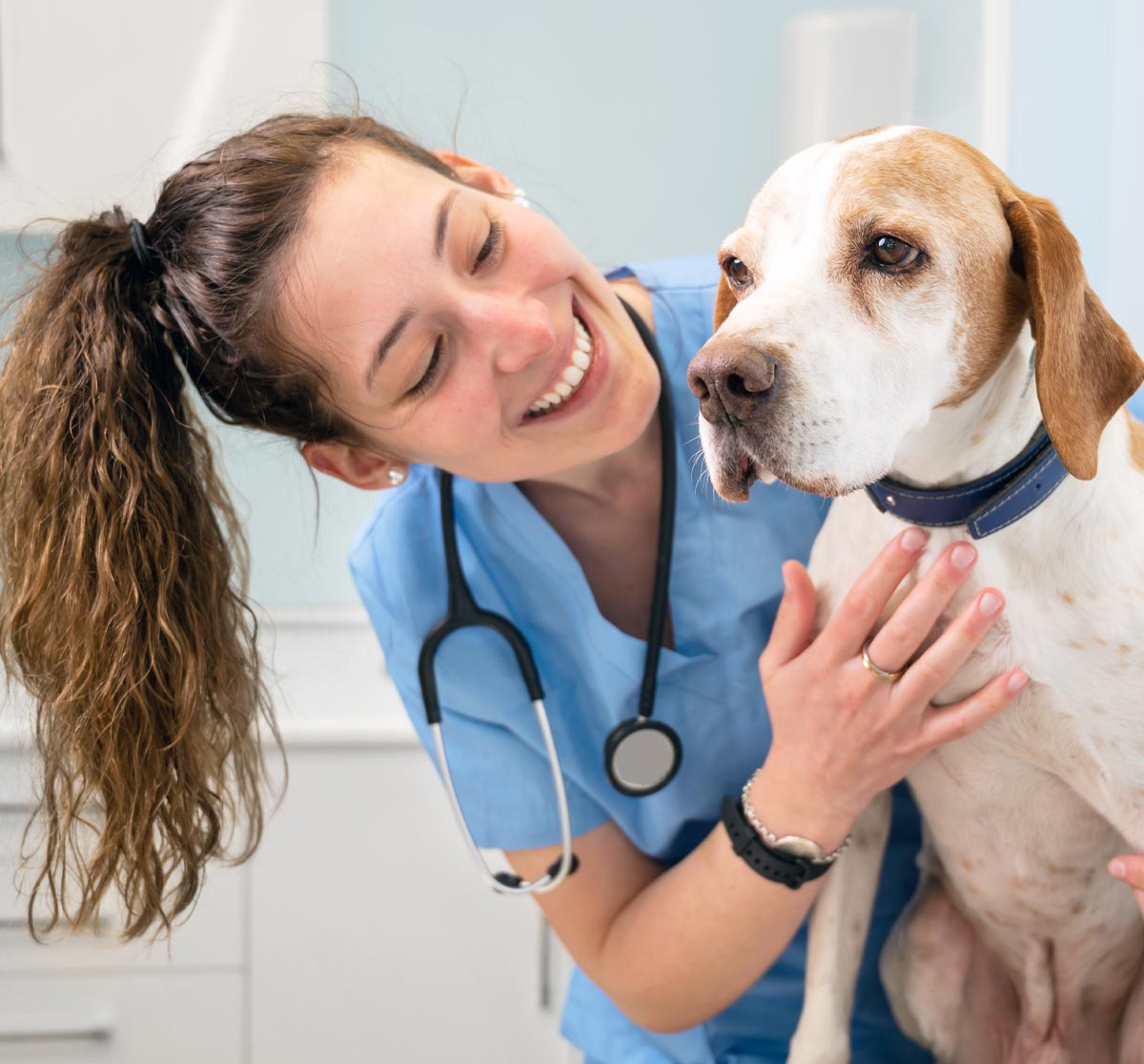 Veterinarian Smiling At Dog